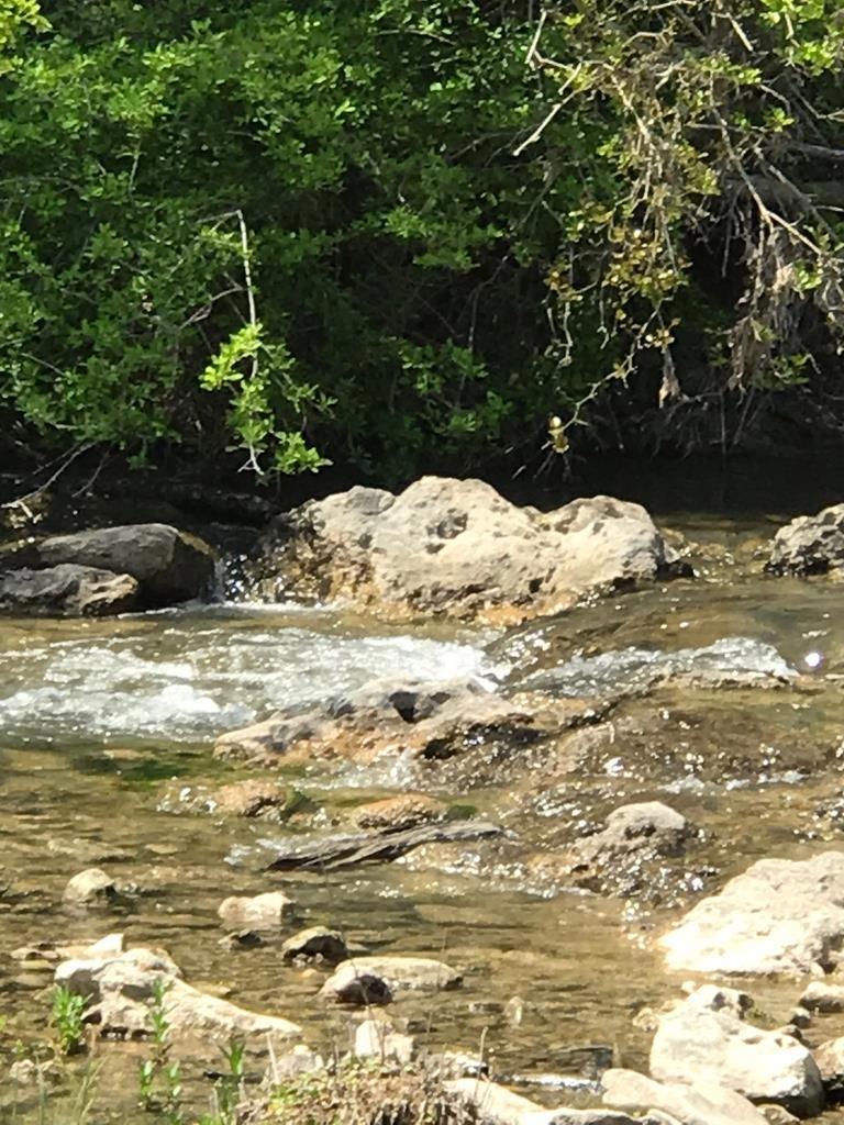 5025 S State Highway 16, Fredericksburg, TX 78624 - photo 1