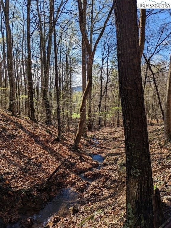 Seller creek photo