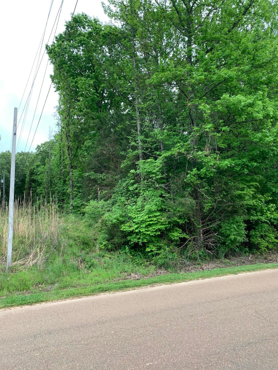 0 S Old Hwy 51 unit 2335199, Hernando, MS 38632 - photo 1