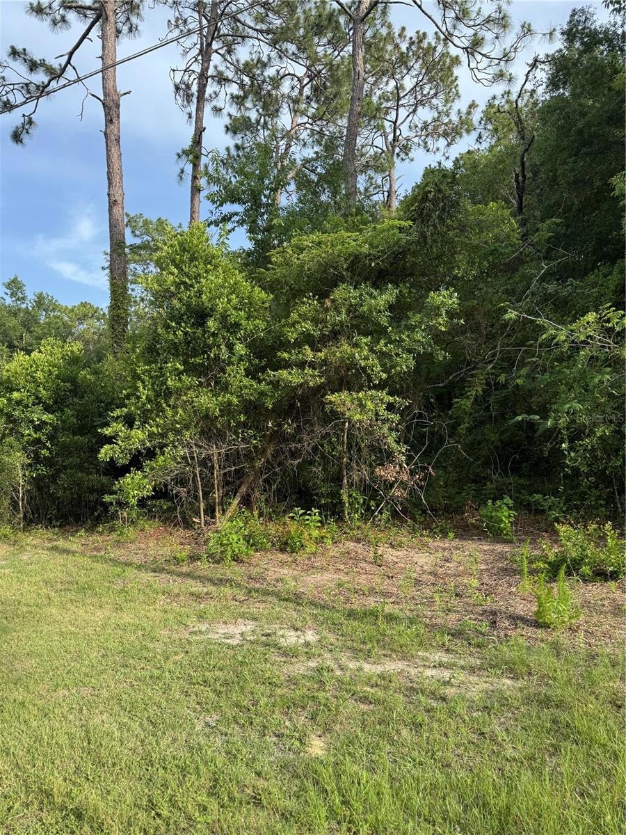 0 NE 67th Ln unit MFRGC531913, Bronson, FL 32621 - photo 1