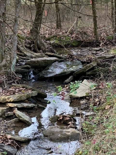 0 McCord (Cr 40) Rd, Elkins, AR 72727 - photo 1