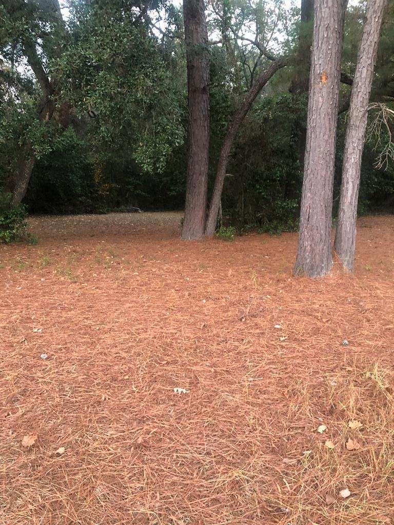 2344 Harvey Rd, Albany, GA 31701 - photo 1