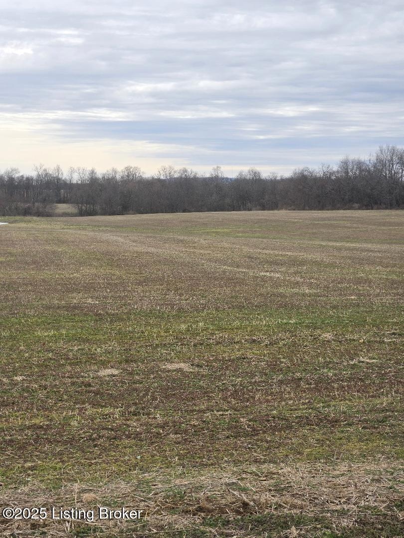 Tr 5 Bagdad Rd, Bagdad, KY 40003 - photo 1