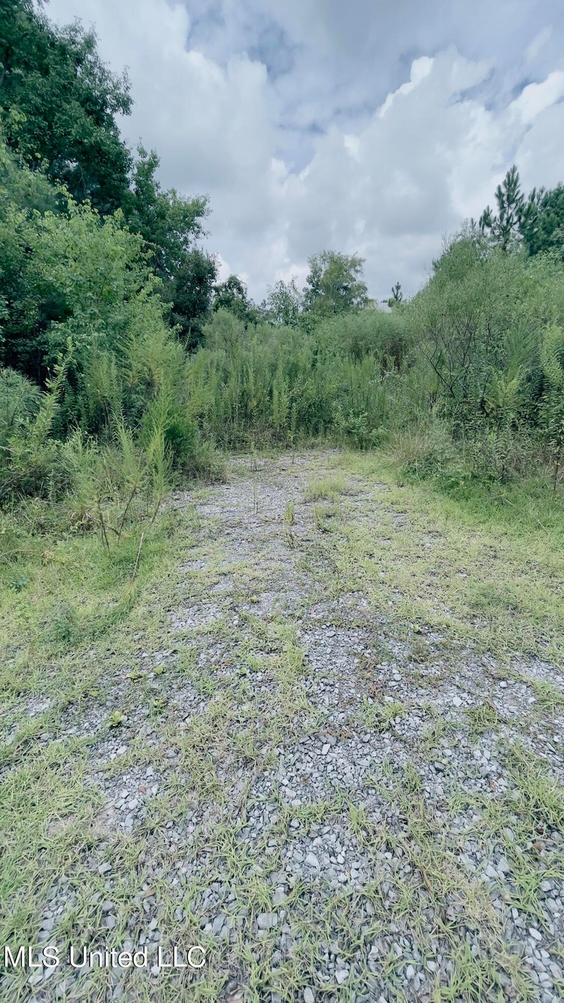 Lots 9 and 10 Driveway