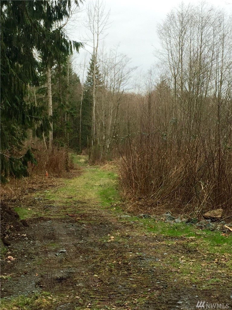 5402 308th St NW, Stanwood, WA 98292 - photo 1