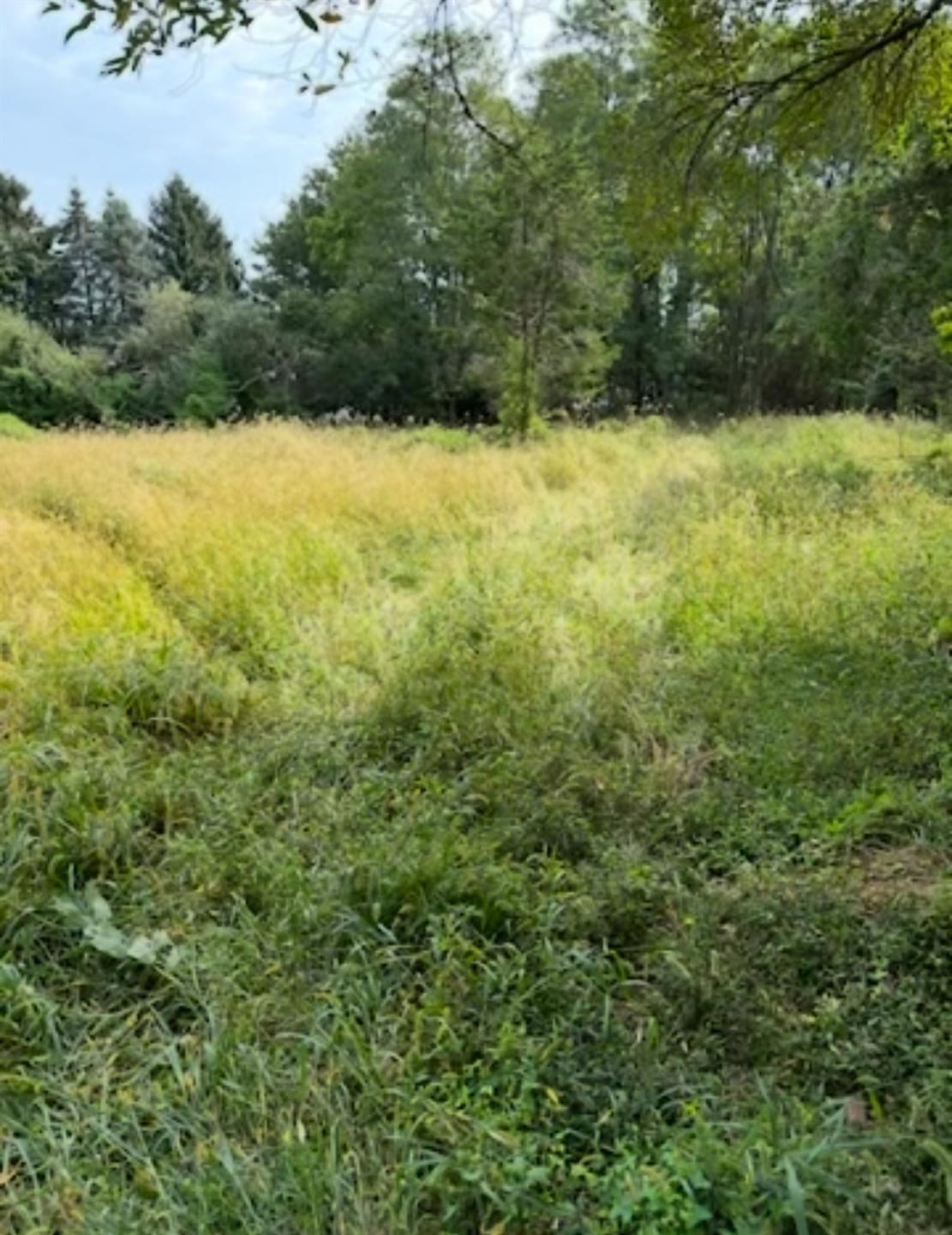 For Sale $799,000 • Co-Listing Agent