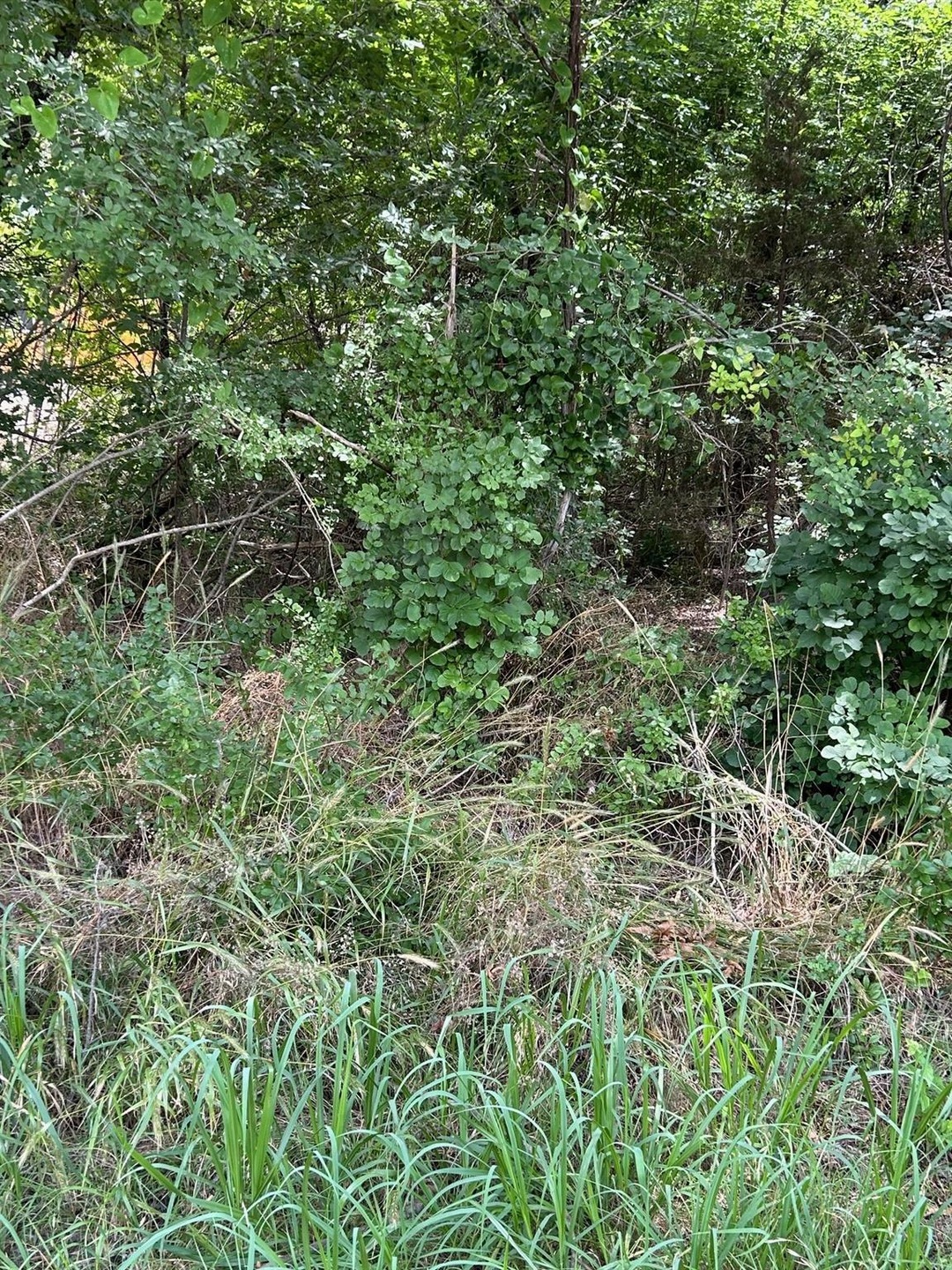 1119 Boot Trail Ct, Granbury, TX 76048 - photo 1