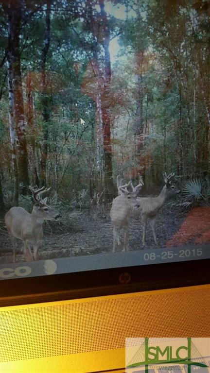 Taken on Property several days before listing!