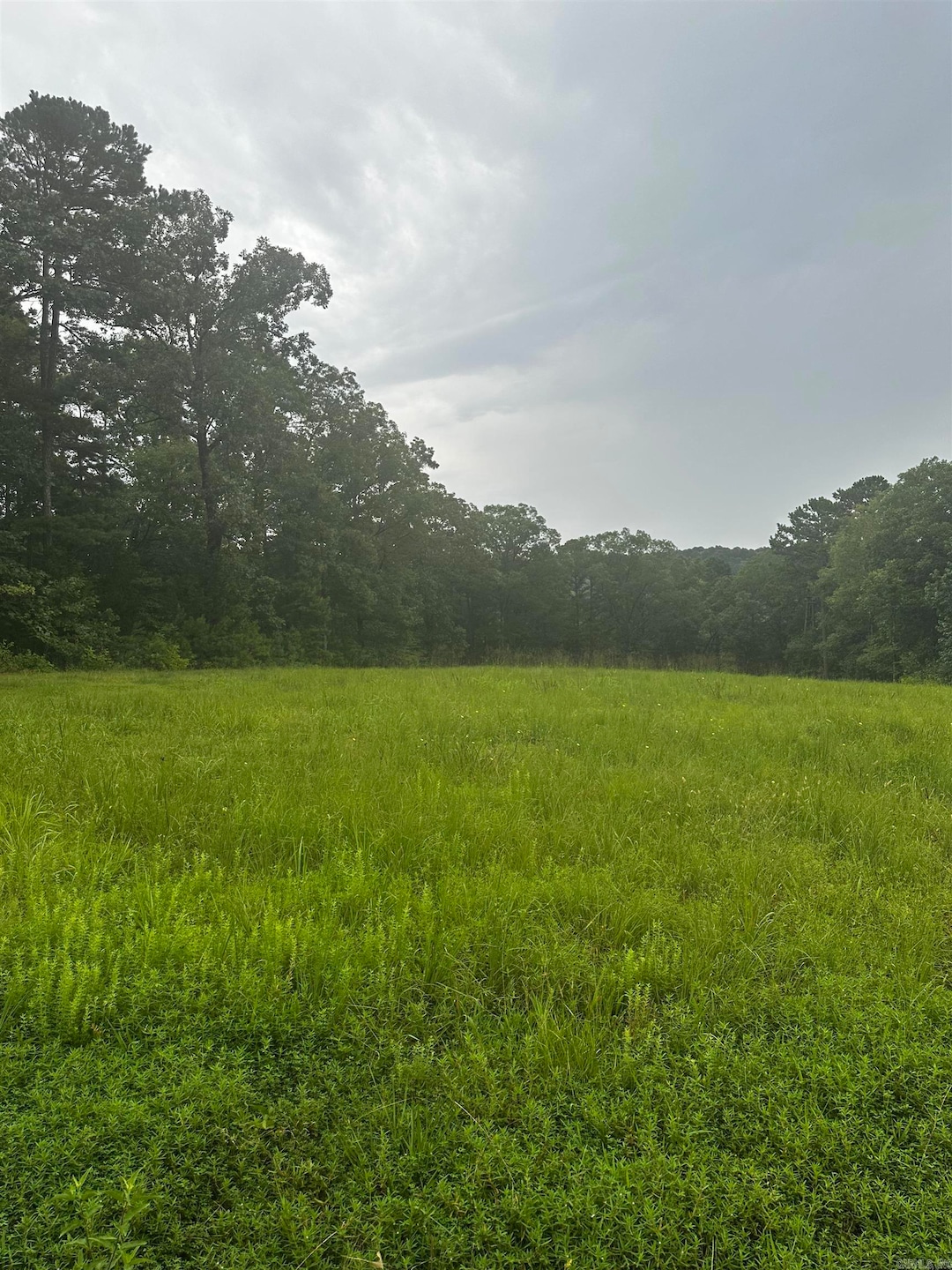 Lot 70 Cobalt Bay Dr, Shirley, AR 72153 - photo 1