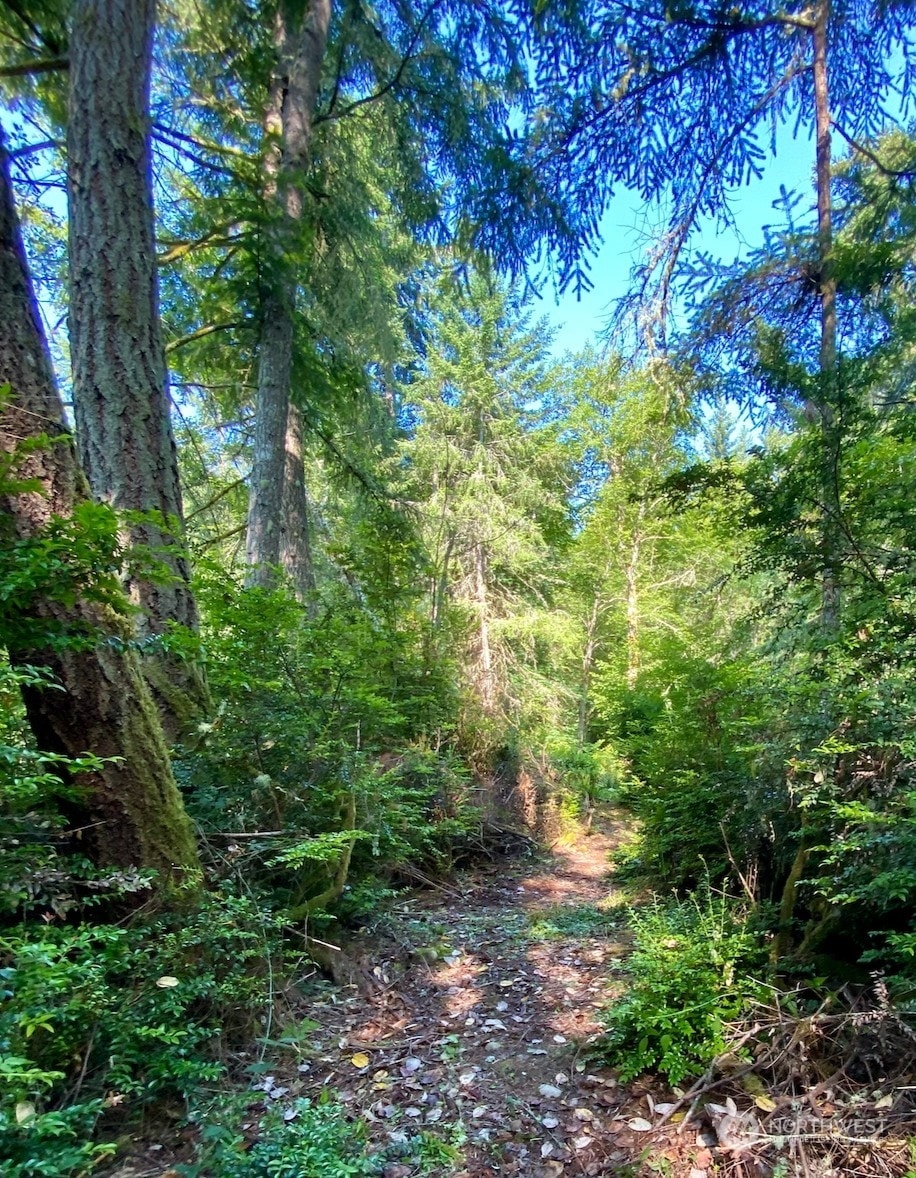 28686 141st Ave SW, Vashon, WA 98070 - photo 1