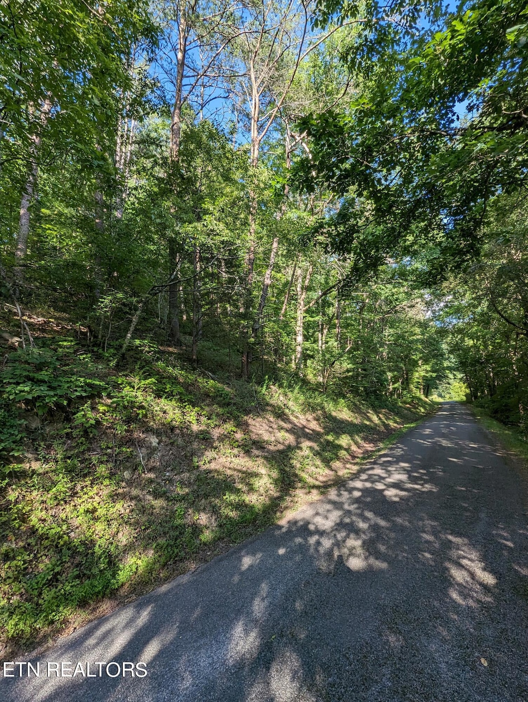 PXL_20240610_224601316