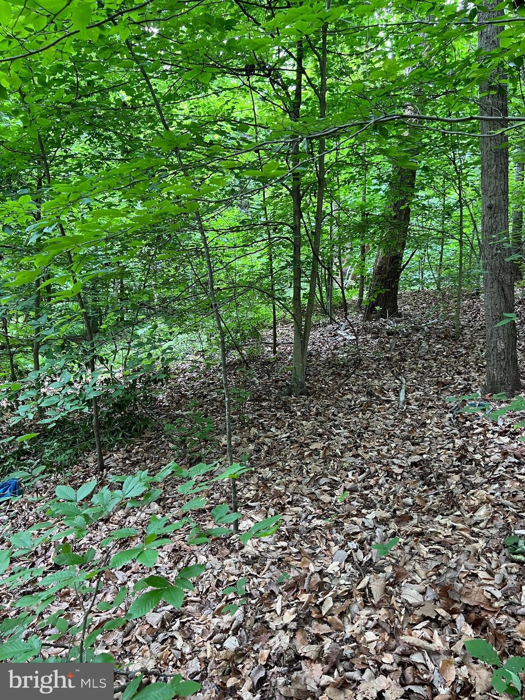 0 Quarry Rd unit VAST2021588, Stafford, VA 22554 - photo 1