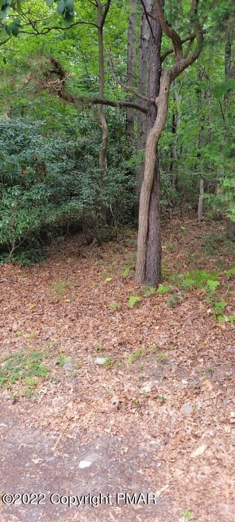 1410 Silver Maple Rd, Effort, PA 18330 - photo 1