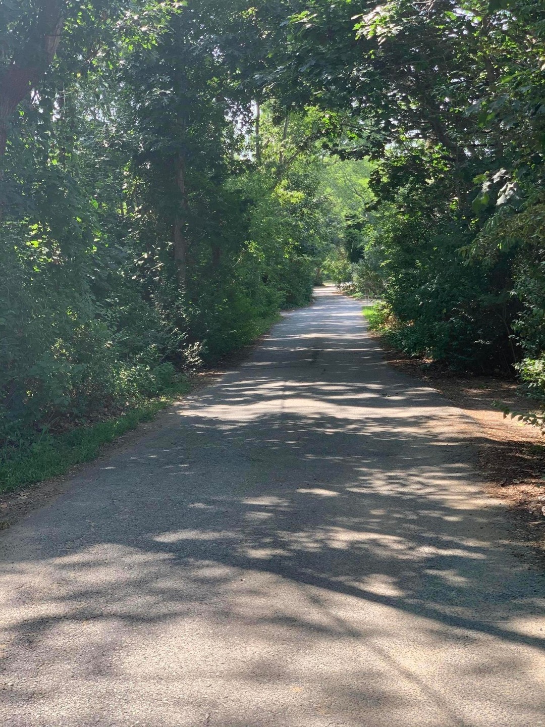 A corner lot on Shady Lane