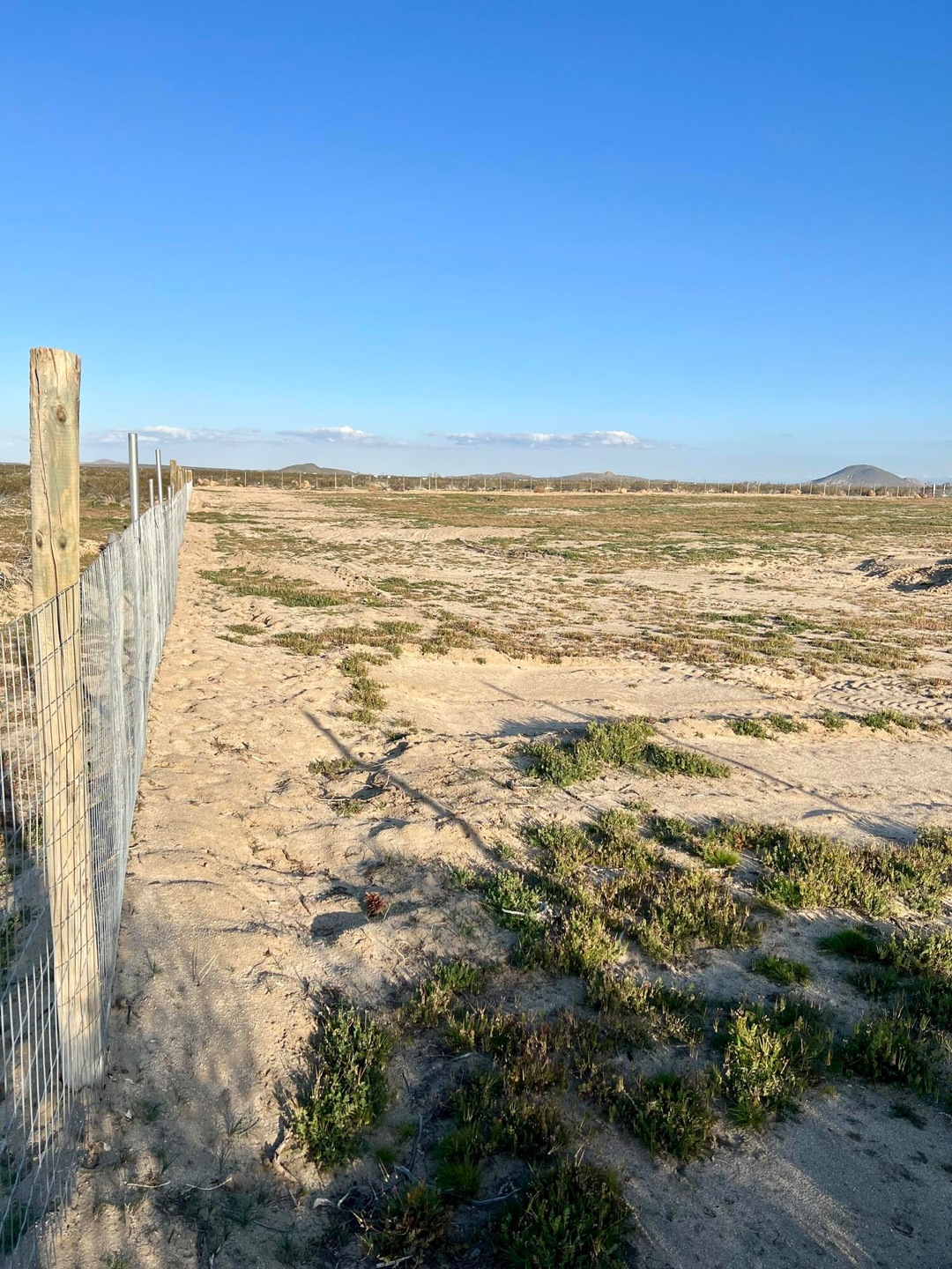 Sold $40,000 • Co-Listing Agent