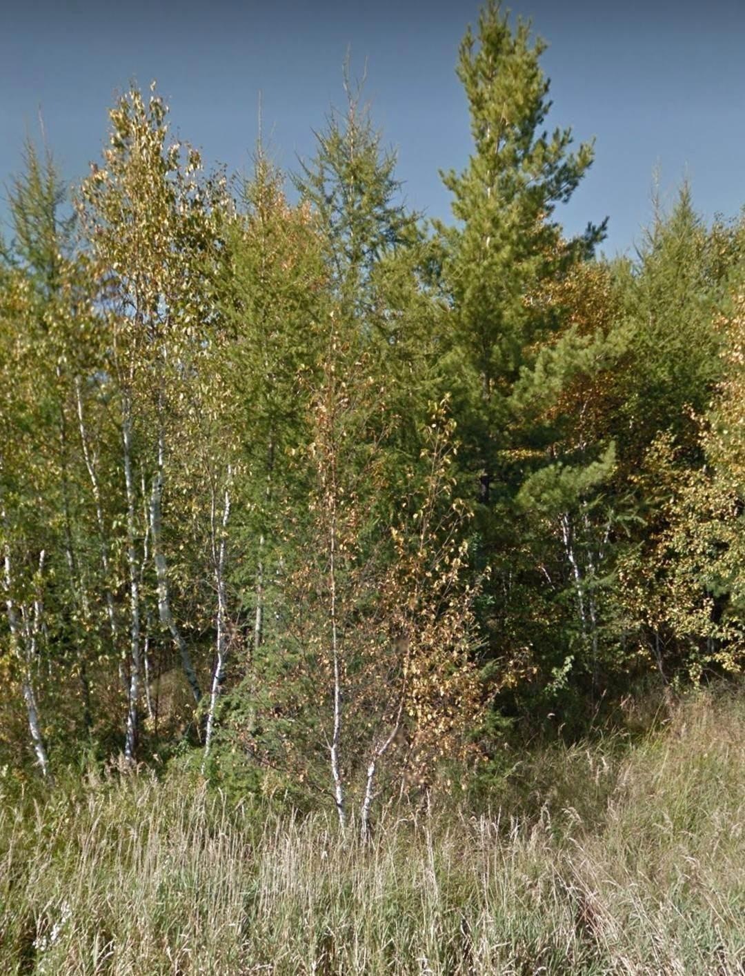 XXXX Saint Louis Co 991, Meadowlands Township, MN 55765 - photo 1