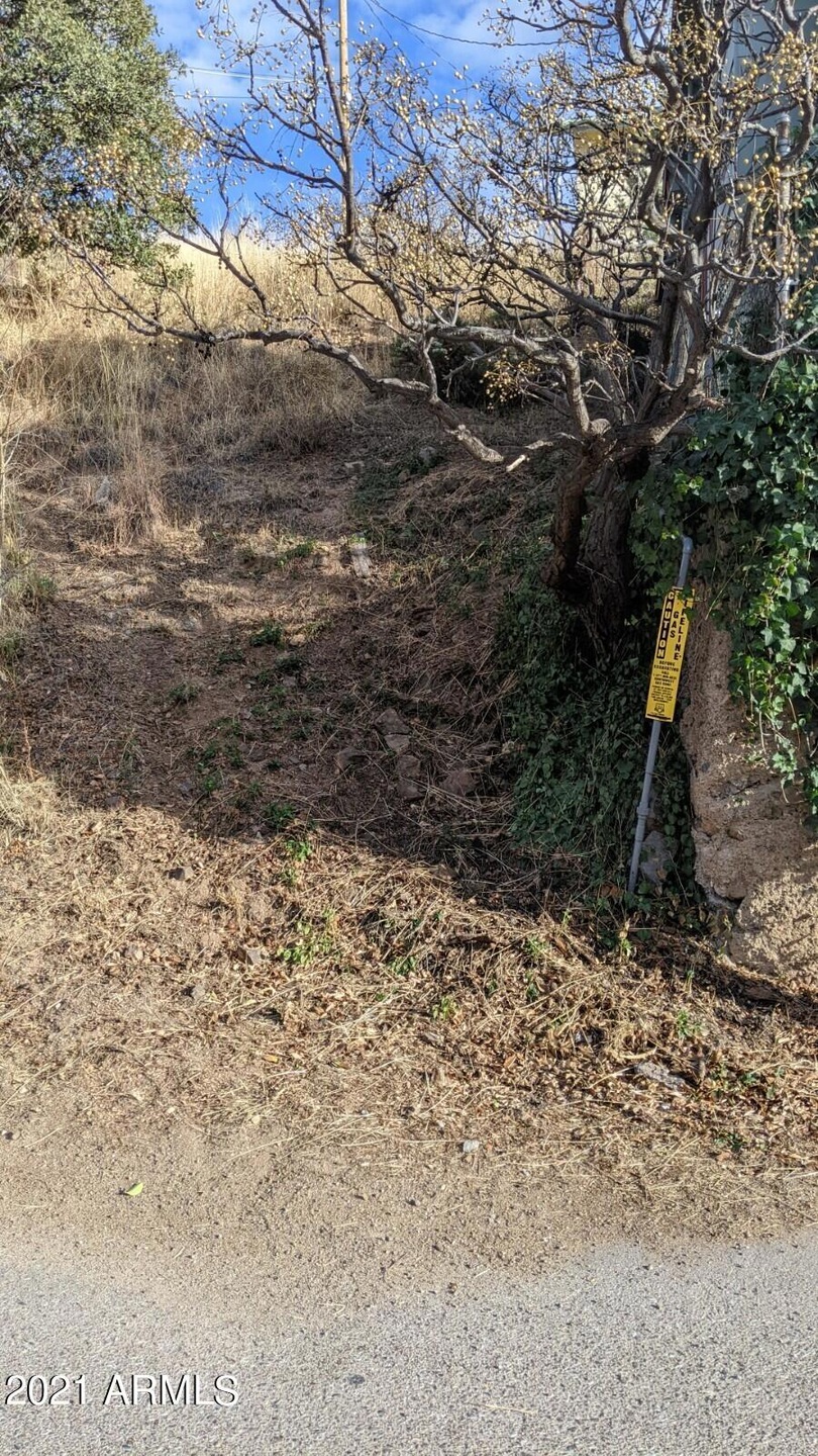 TBD Locklin Ave unit 43, Bisbee, AZ 85603 - photo 1