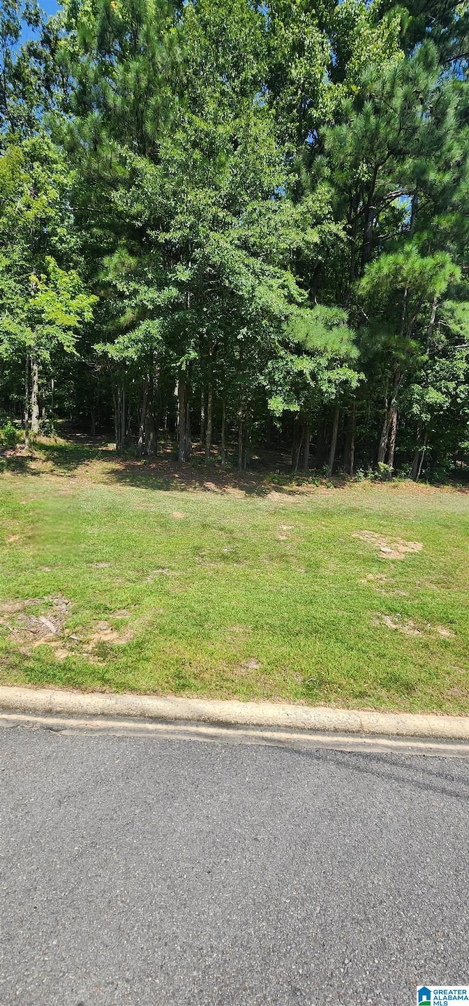 0 Quail Ridge Rd unit 21412338, Oneonta, AL 35121 - photo 1