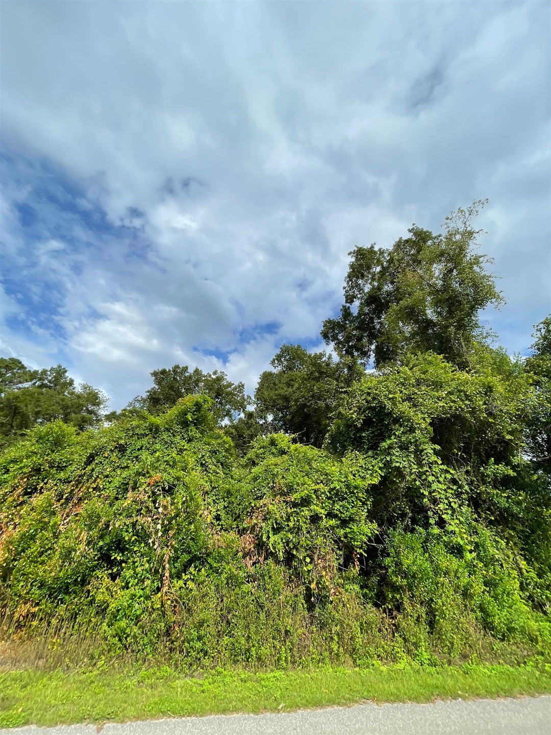 000 Richardson Rd, Wakulla, FL 32327 - photo 1