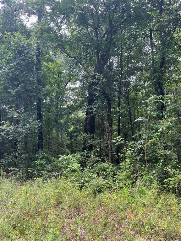 PERFECT 7.61 ACRES TO BUILD YOUR DREAM HOME IN WAL