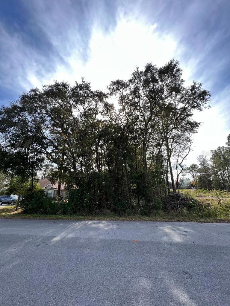 0 Bahia Terrace unit MFRS5139041, Ocala, FL 34472 - photo 1