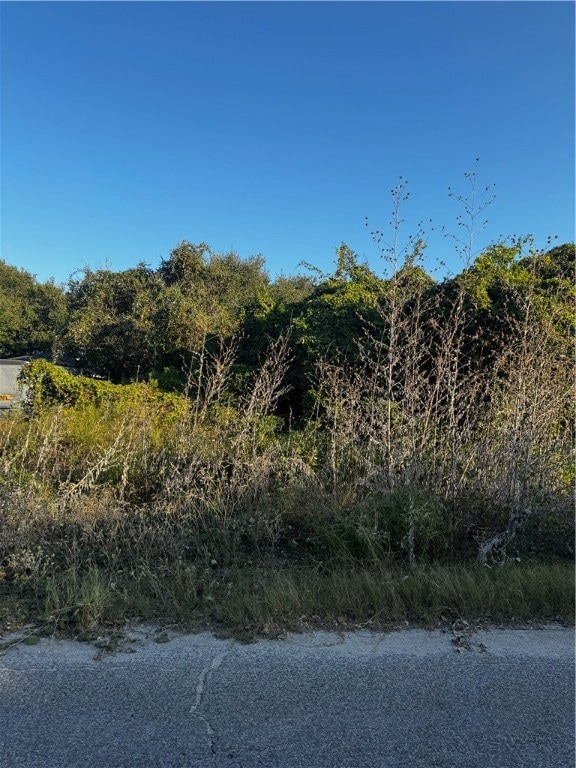 0 S 11th St, Aransas Pass, TX 78336 - photo 1