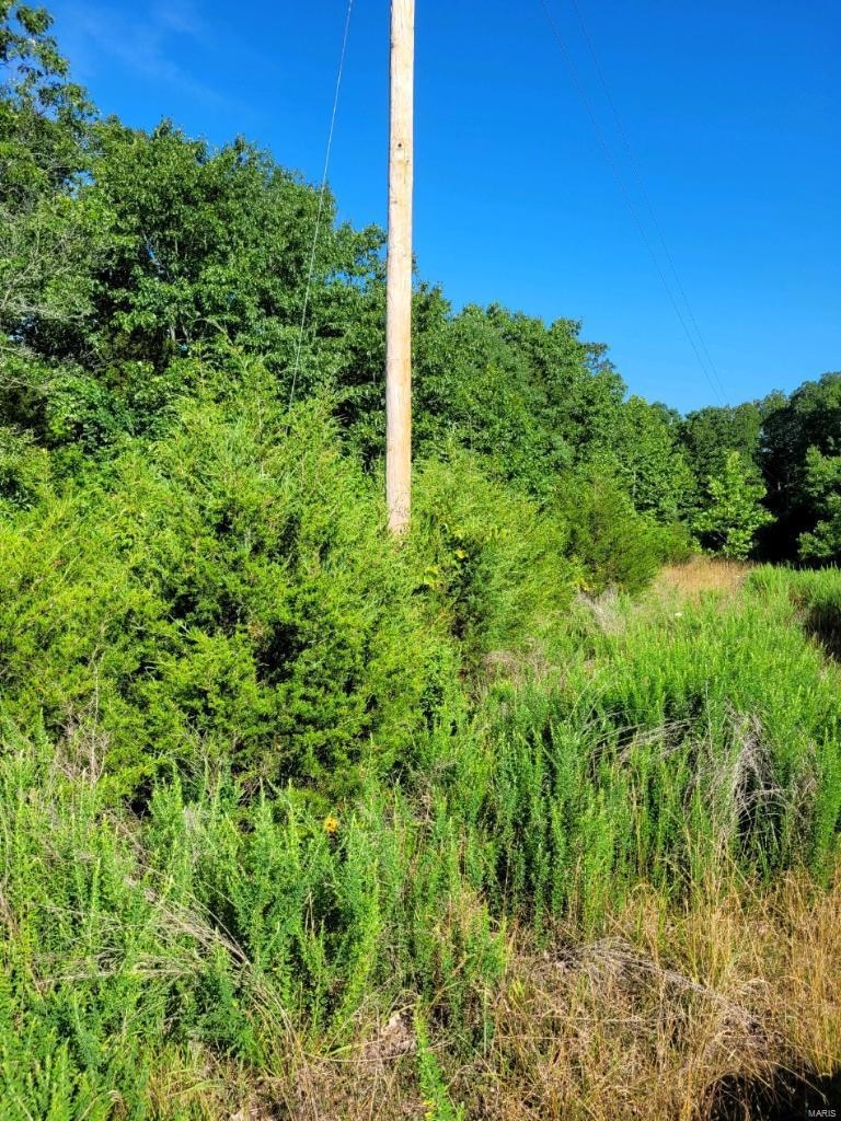 28 Kelemen Farms W, Big River Township, MO 63023 - photo 1