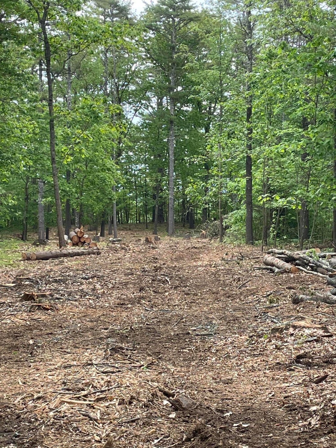 Lot view 1