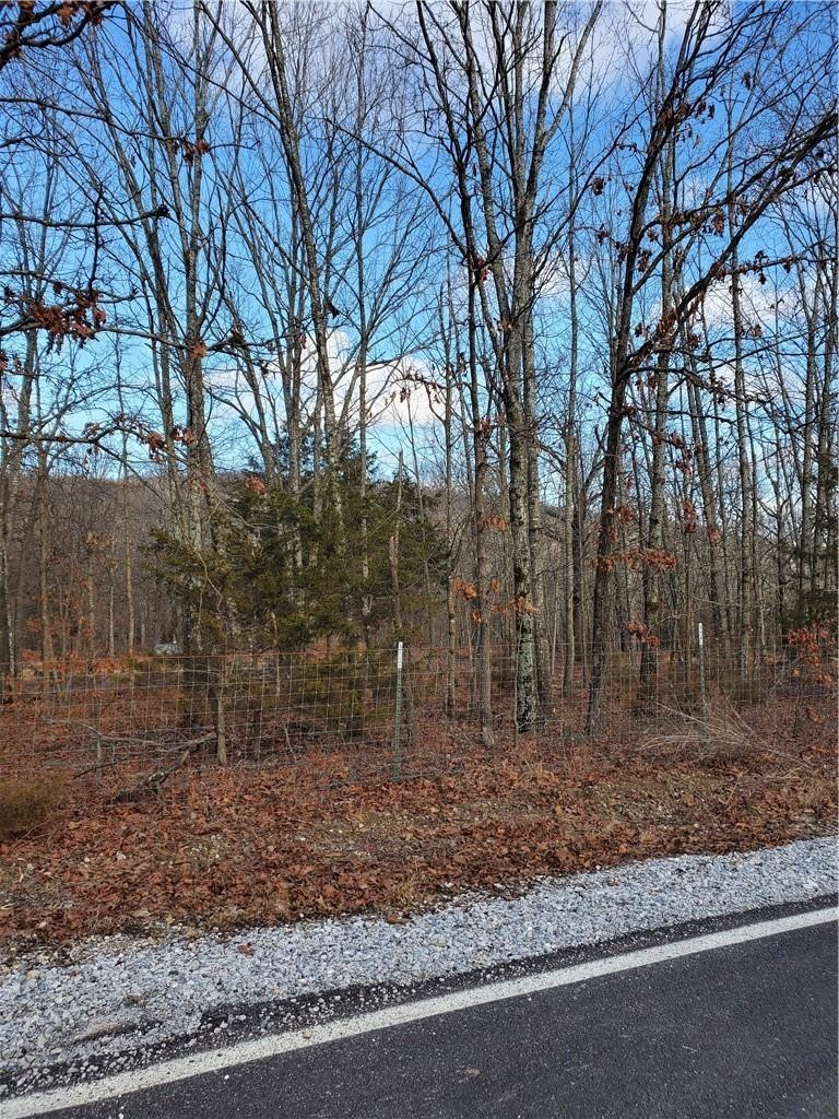 14650 Trace Branch Rd, West Fork, AR 72774 - photo 1