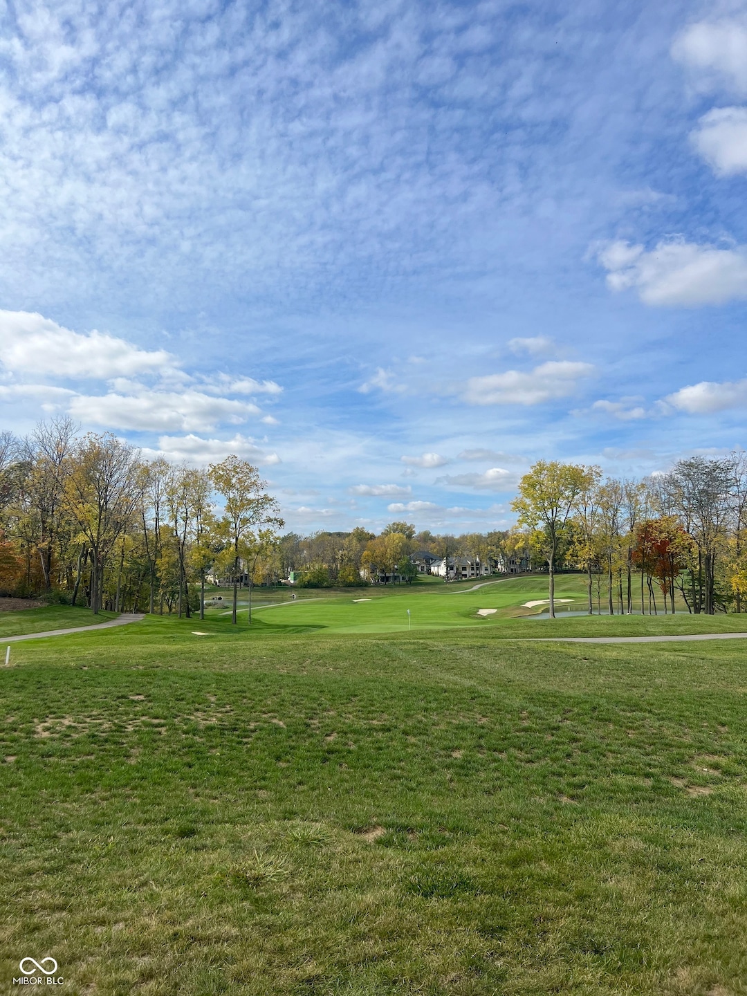 1410 Forest Hills Dr, Westfield, IN 46074 - photo 1