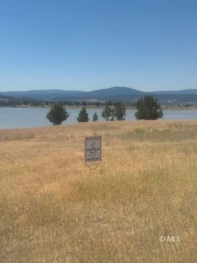 Lake Front