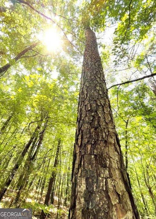 0 Georgia 22, Rayle, GA 30660 - photo 1