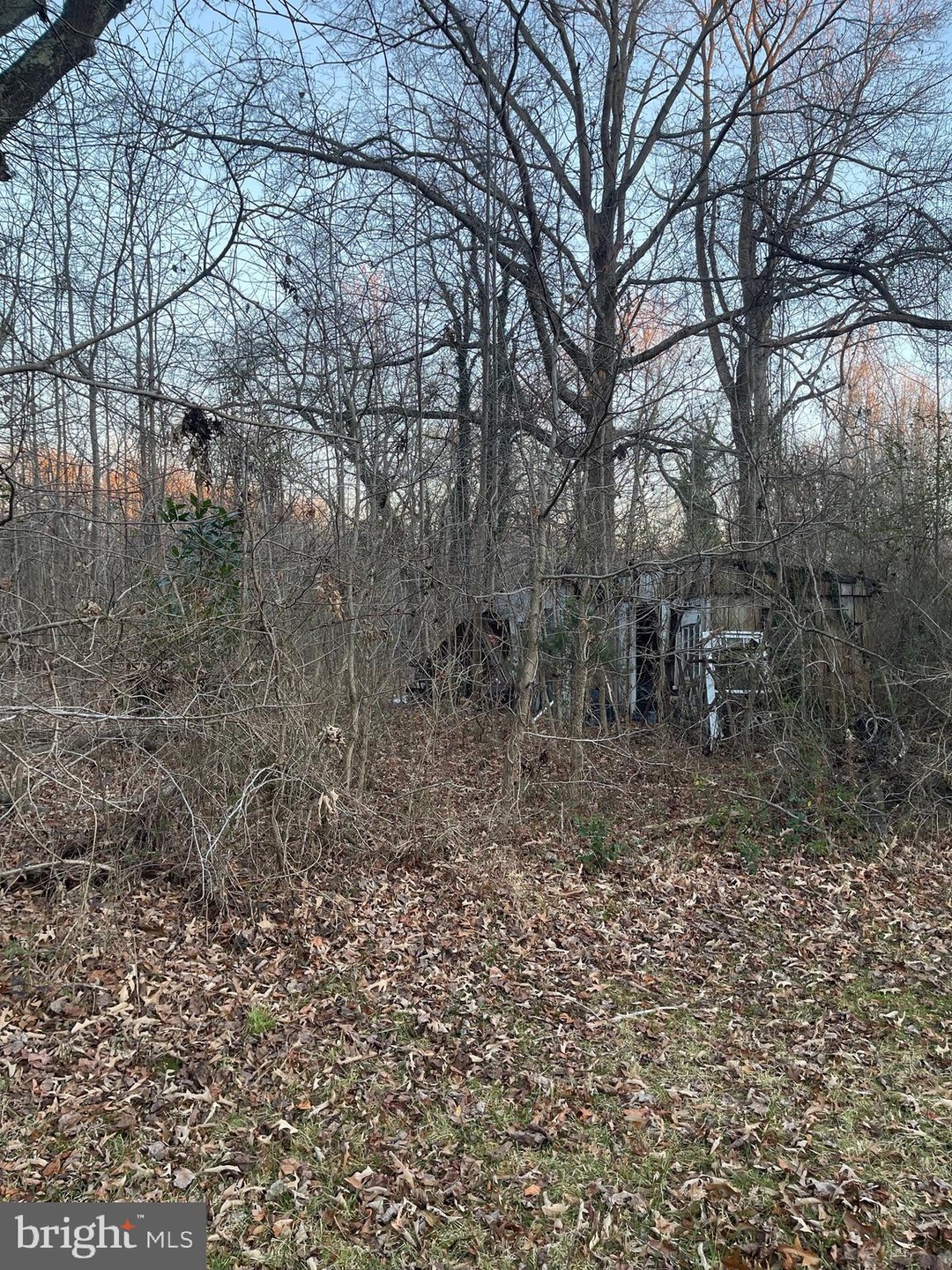 4162 Muddy Creek Rd, Harwood, MD 20776 - photo 1