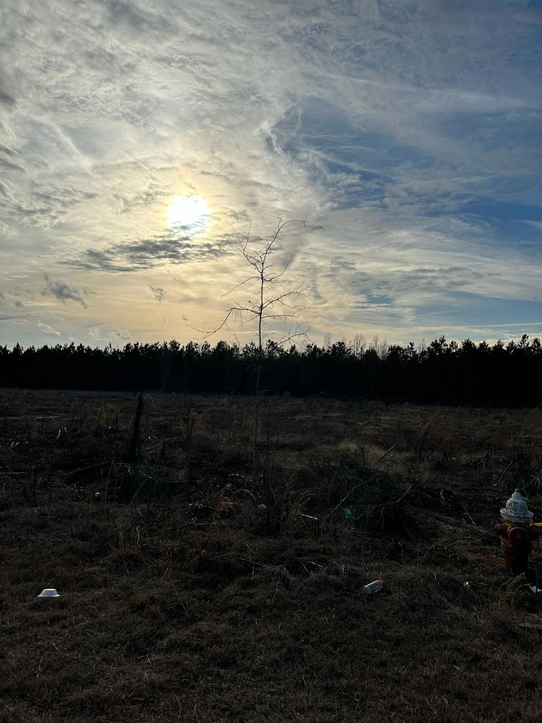 5 + Acres