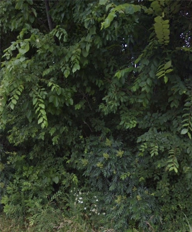 0 Cheddar Dr, Bella Vista, AR 72715 - photo 1