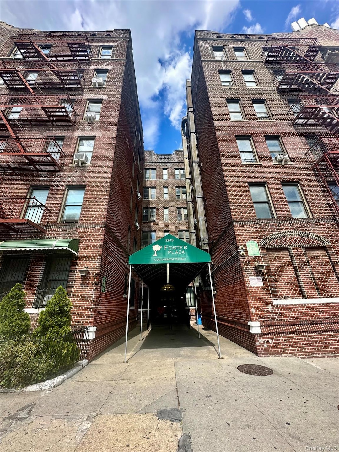 2913 Foster Ave unit 6F, Brooklyn, NY 11210 - photo 1