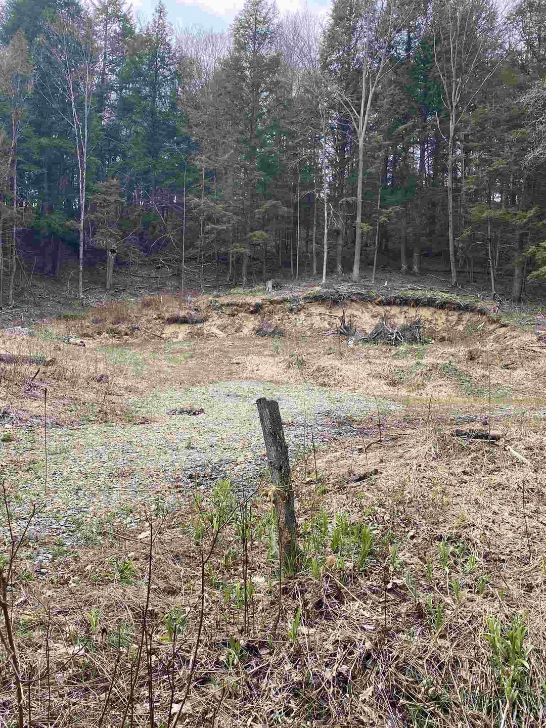 94 Shepardson Hollow Rd, Fairfax, VT 05454 - photo 1