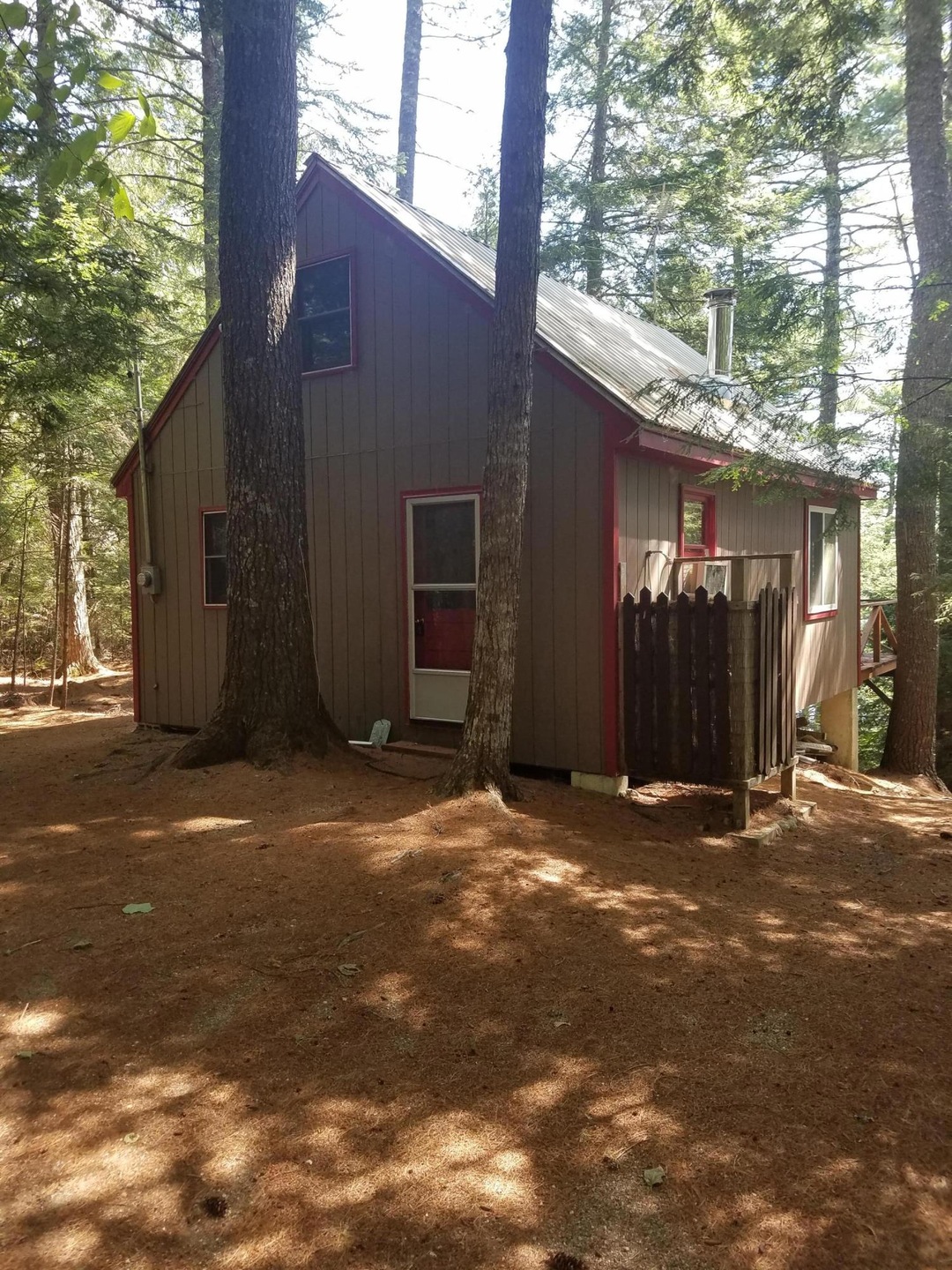 Nestled Amongst the Forest