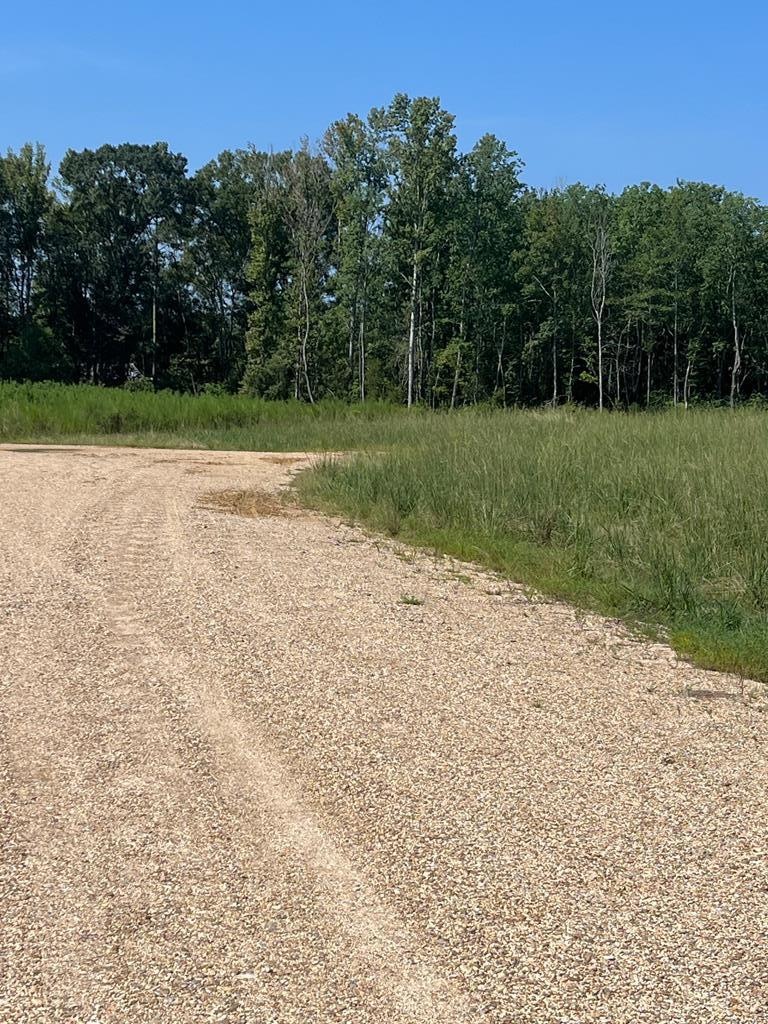 30 SW Meyers Cove, Picayune, MS 39466 - photo 1