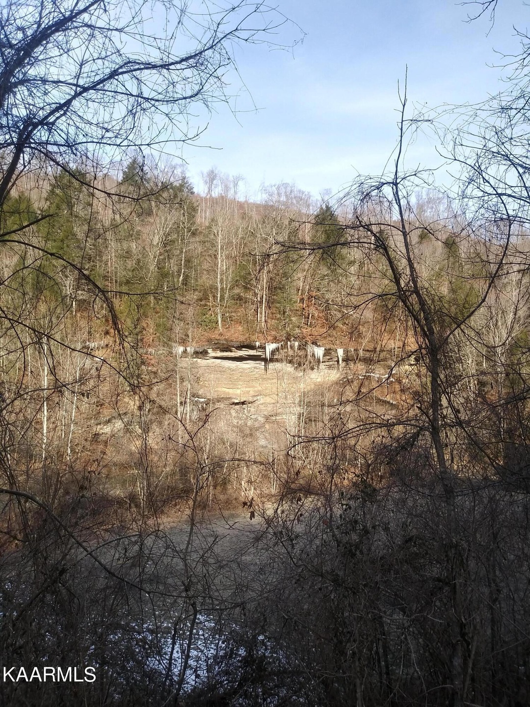 20220201_094619_HDR