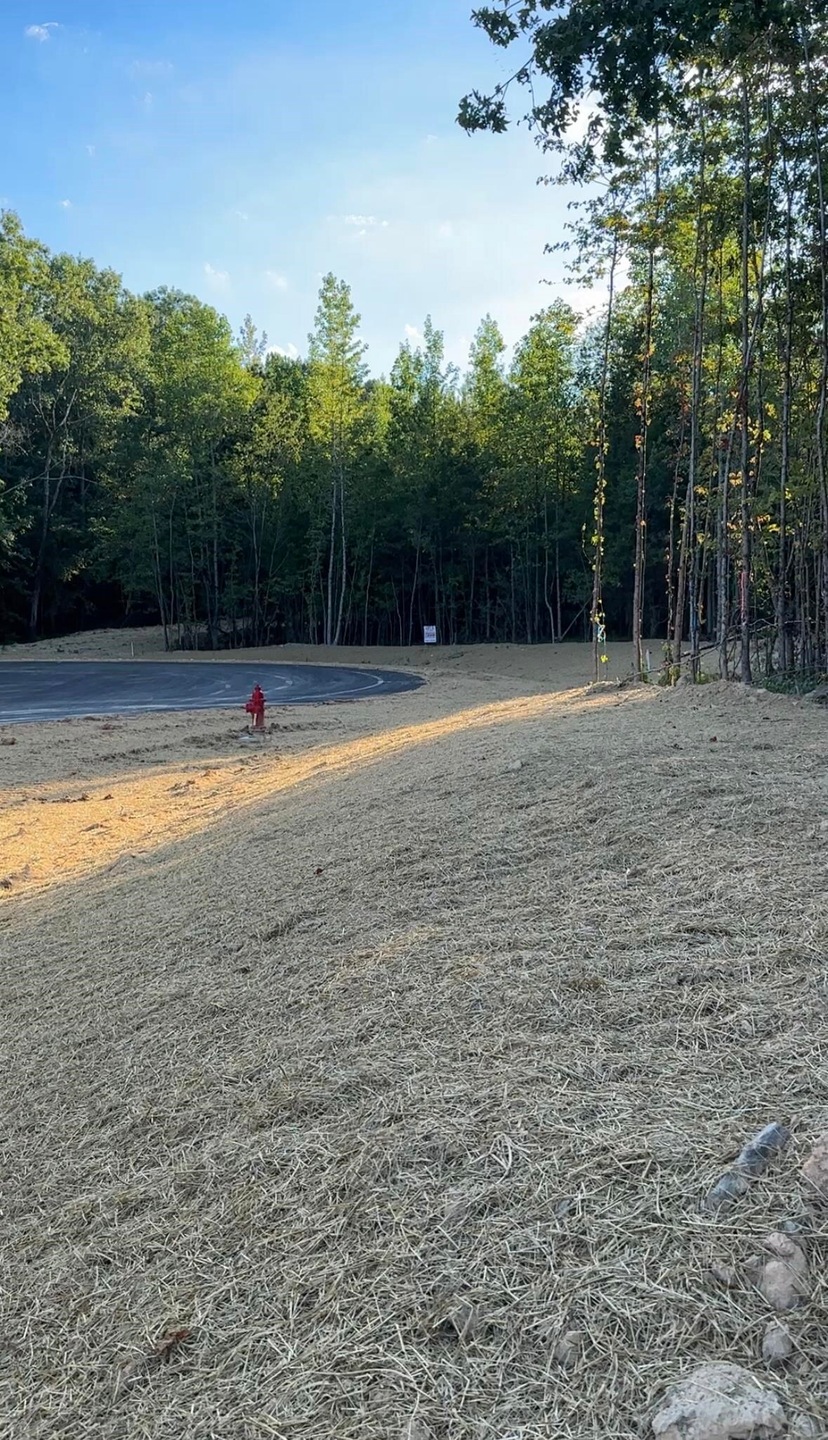 LOT 4 Blake Ln unit LOT 4, Bethlehem, GA 30620 - photo 1