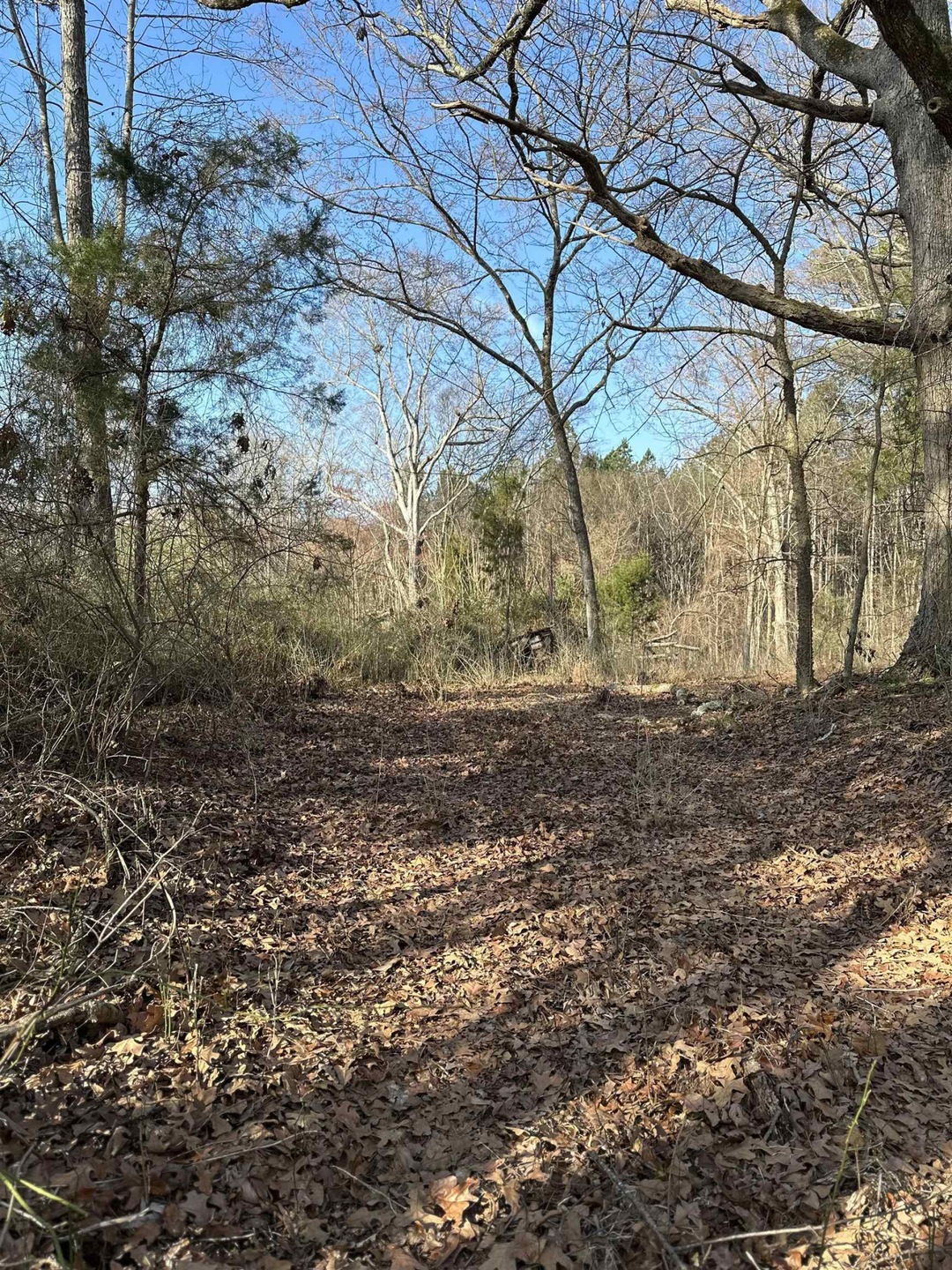 1867 Buckner Clark Rd, Pittsboro, NC 27312 - photo 1