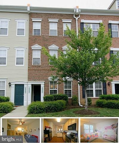 42520 Hollyhock Terrace, Ashburn, VA 20148 - photo 1