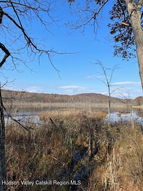 TBD Lily Lake Rd, Highland, NY 12528 - photo 1