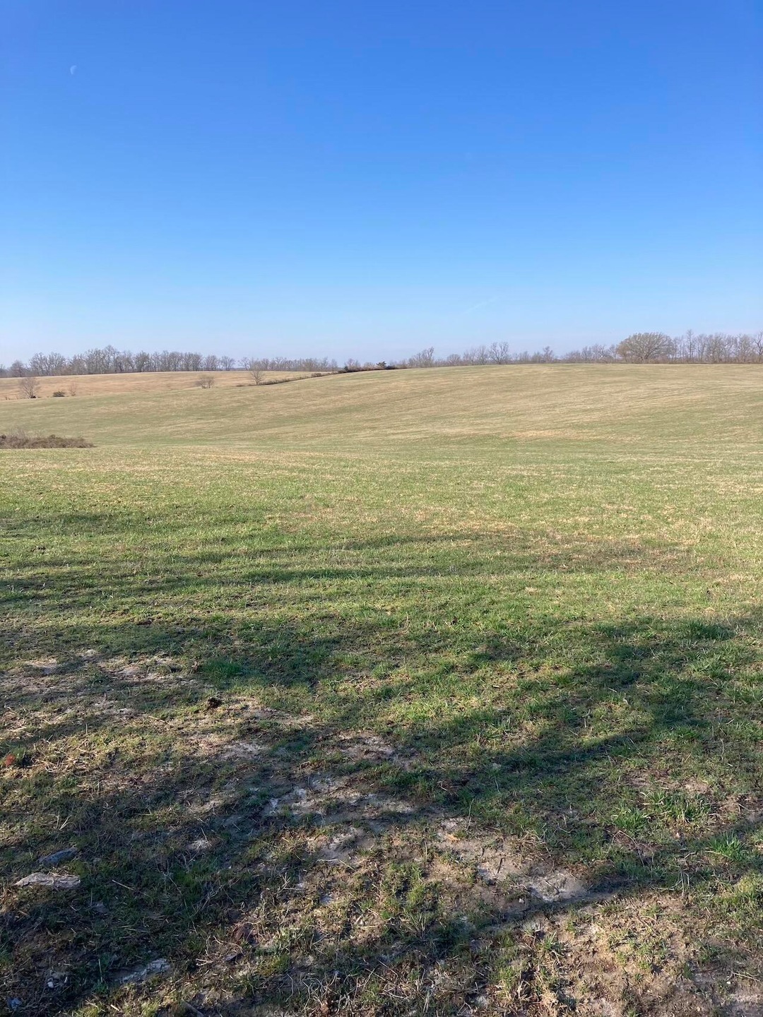 Cattle Ranch for Sale