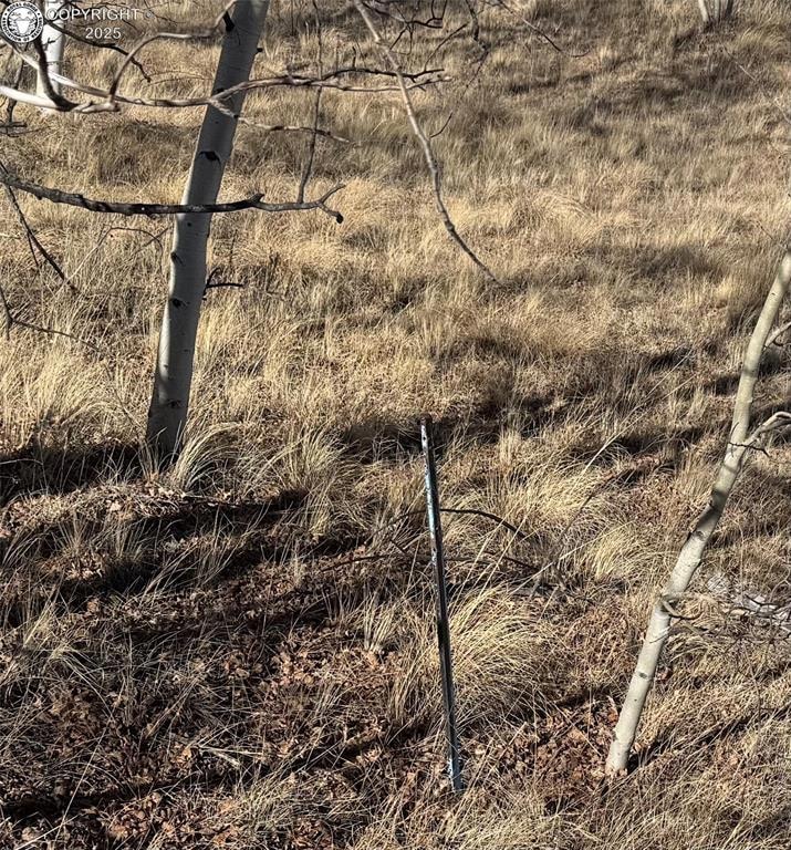 381 Remington Rd, Jefferson, CO 80456 - photo 1