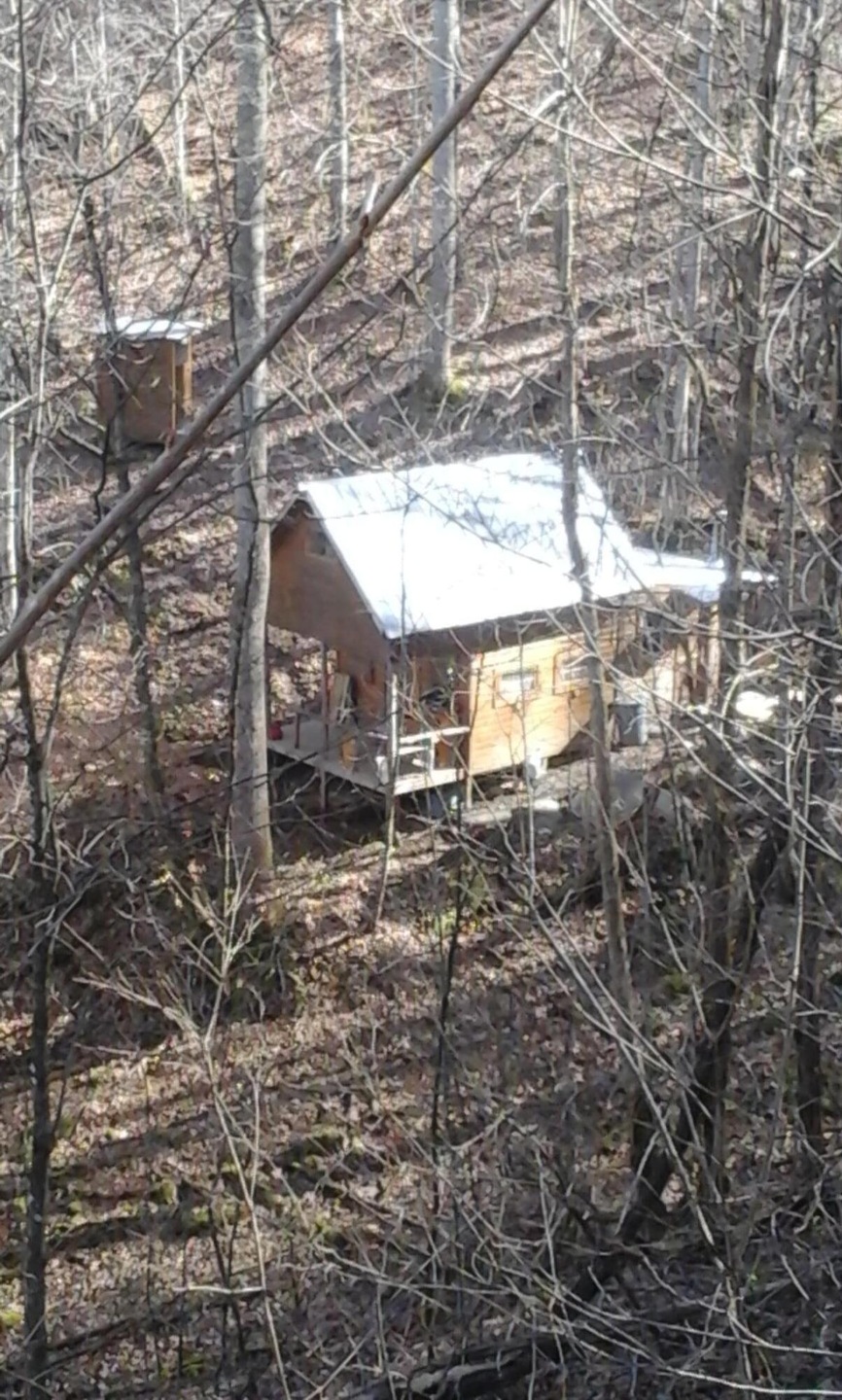 Cabin