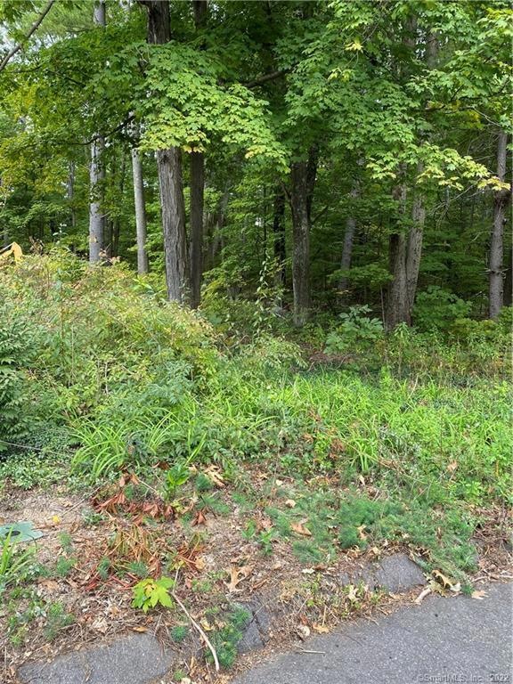 0 Crab Apple Ln, Farmington, CT 06085 - photo 1