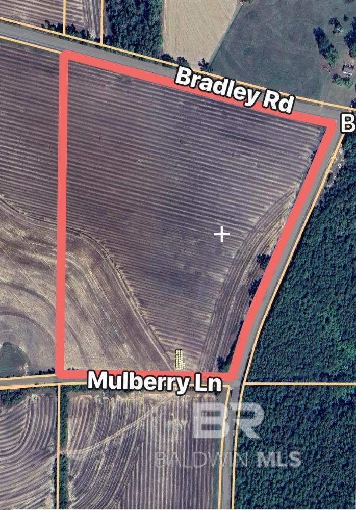 0 Bradley Rd unit 388408, Brewton, AL 36426 - photo 1