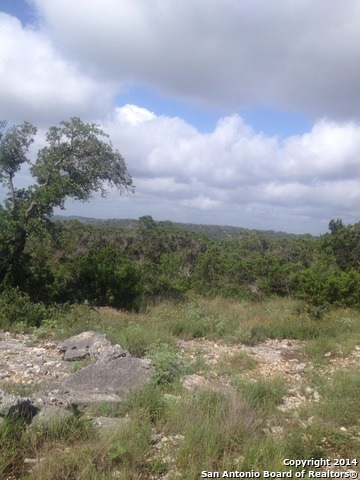 15648 Gray Oak, Helotes, TX 78023 - photo 1